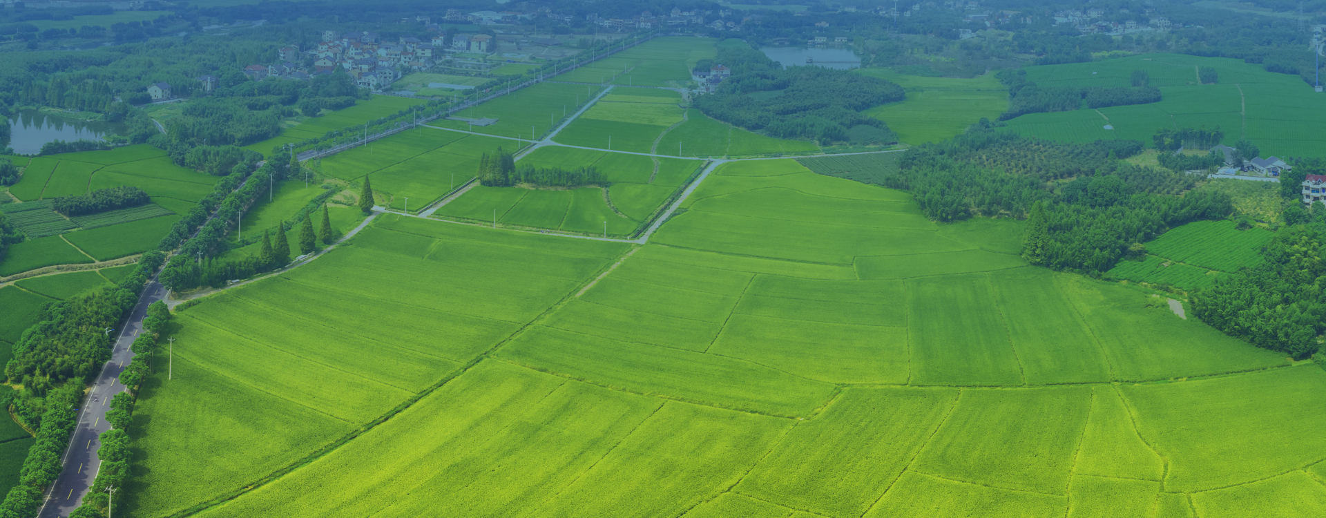 高标准农田智慧化建设解决方案