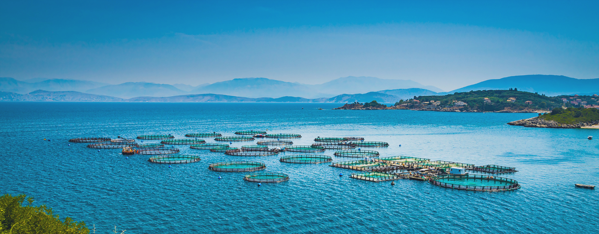 Focusing on technology to build the future together