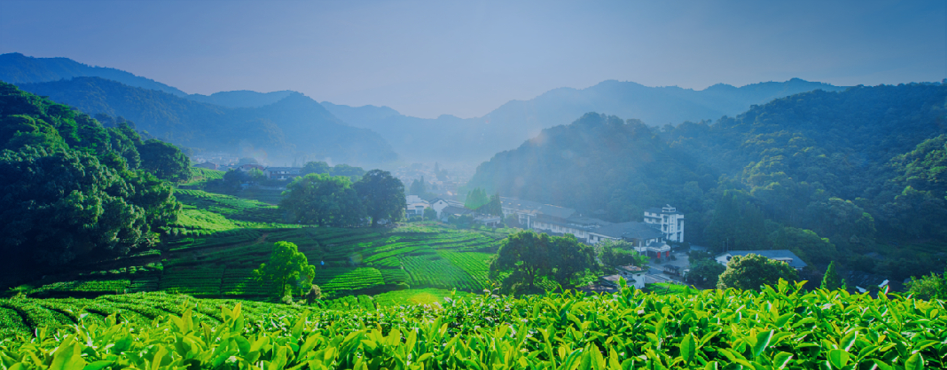 Jiangsu Three& three Classic case banner