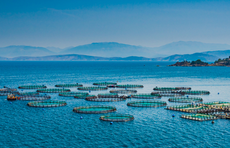 聚力科技 共筑未来