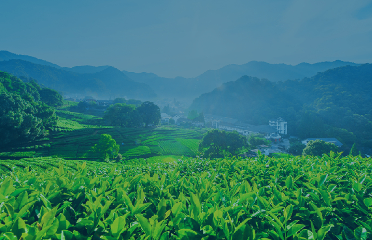 江苏叁拾叁经典案例banner