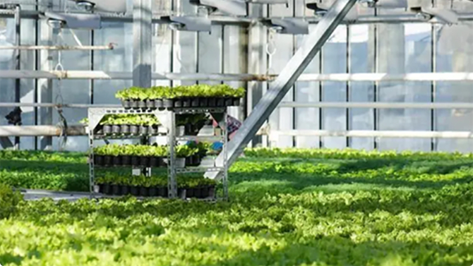 农业智能化规划