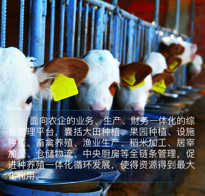 种养殖一体化综合管理平台