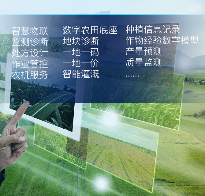 无人大田管理平台