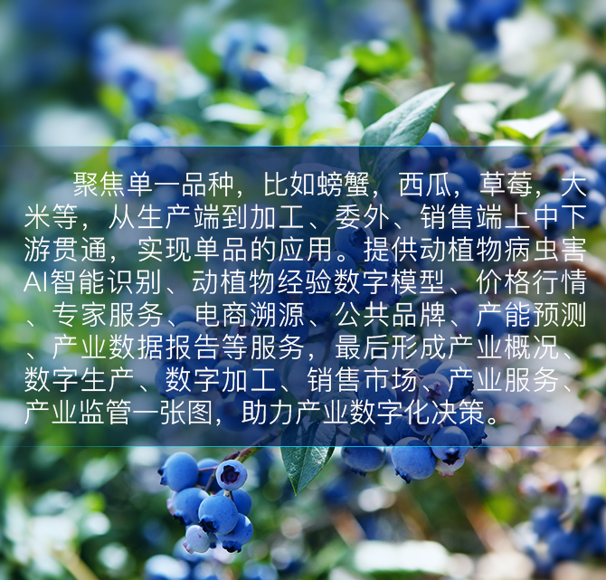 单品全产业链大数据平台