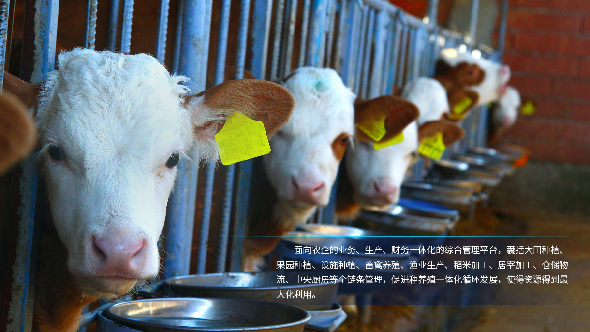 种养殖一体化综合管理平台