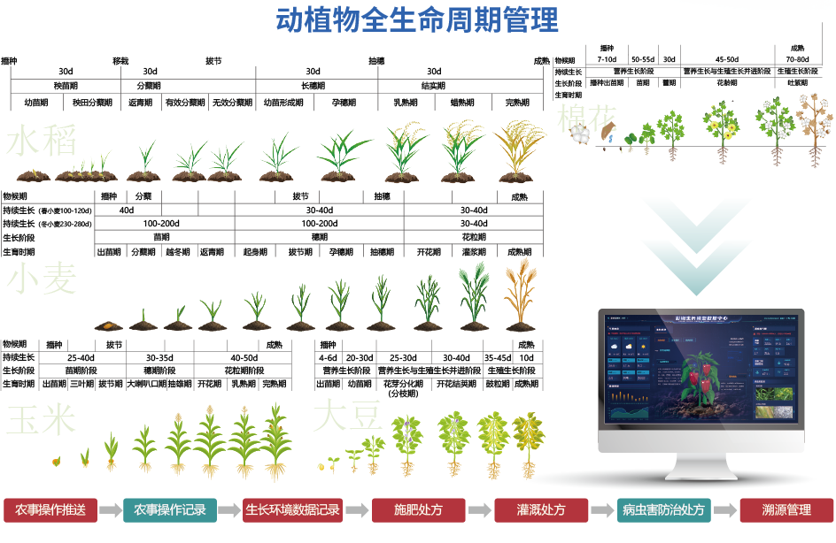 动植物全生命周期管理技术介绍