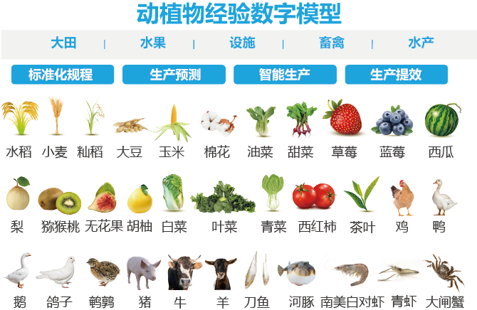 动植物经验数字模型