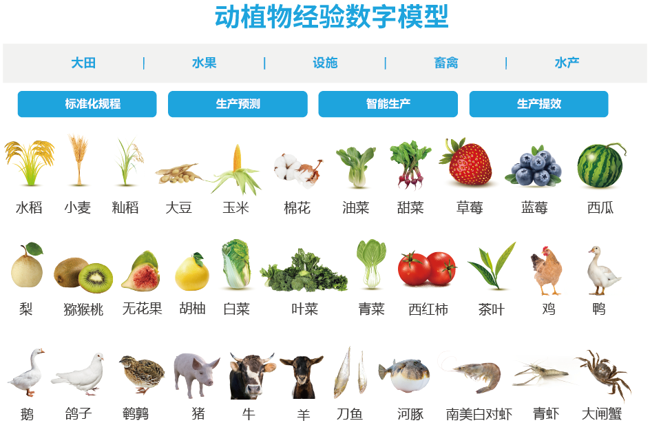 动植物经验数字模型