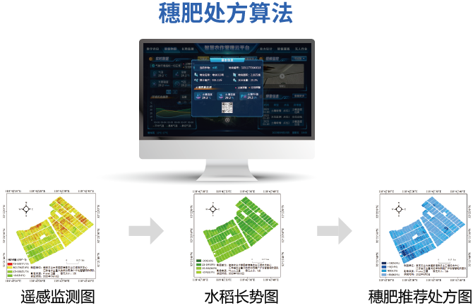穗肥处方算法技术