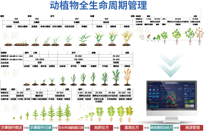 动植物全生命周期管理技术介绍
