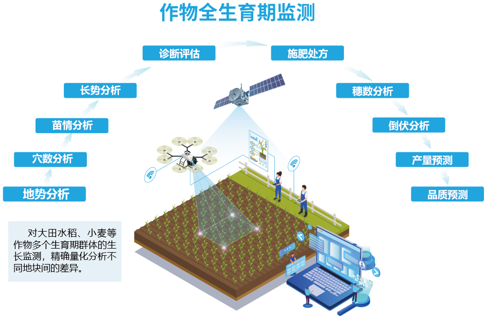 作物全生育期管理
