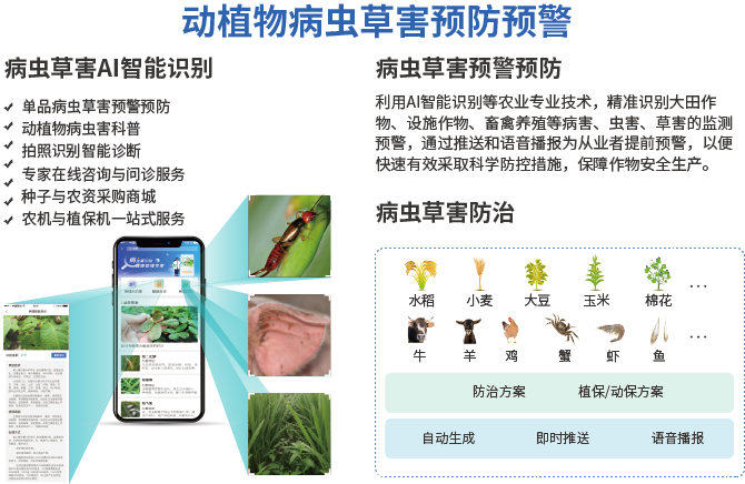 动植物病虫草害预警预防介绍