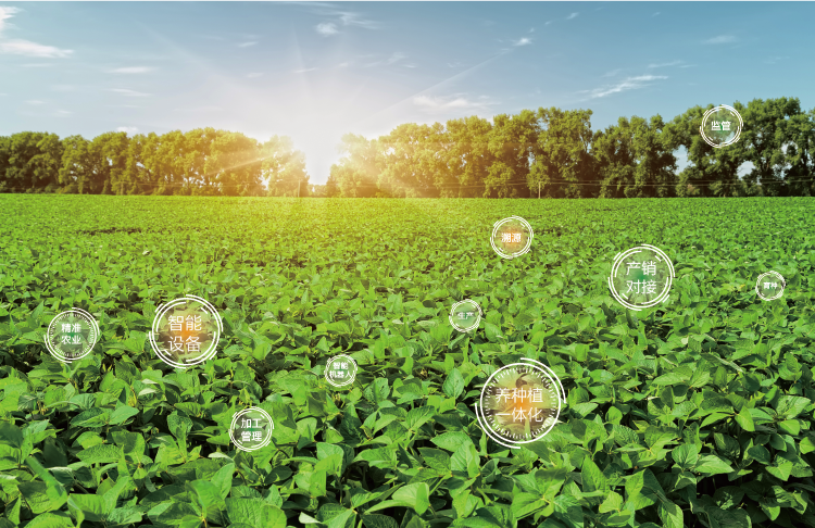 单品全产业链大数据解决方案