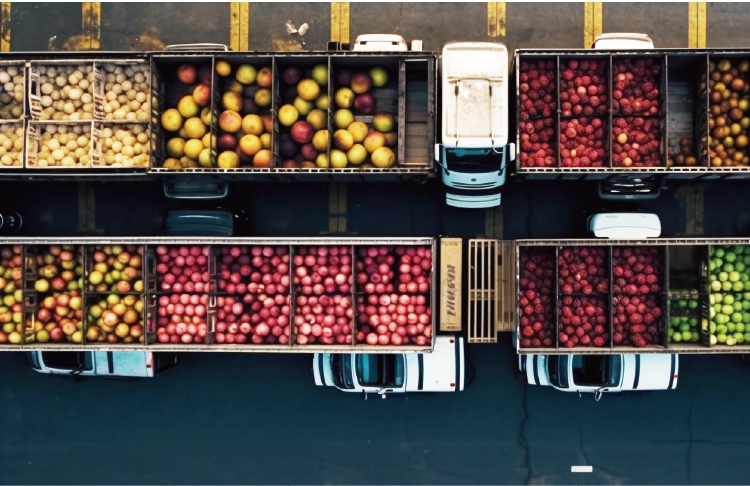 农产品价格监测平台解决方案