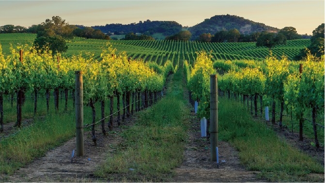 区县级现代农业园区