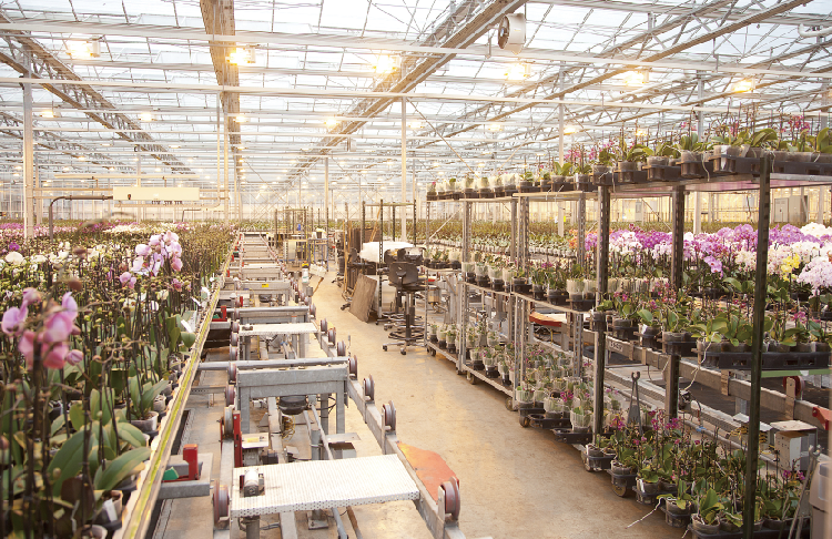 叁拾叁智慧园区解决方案banner