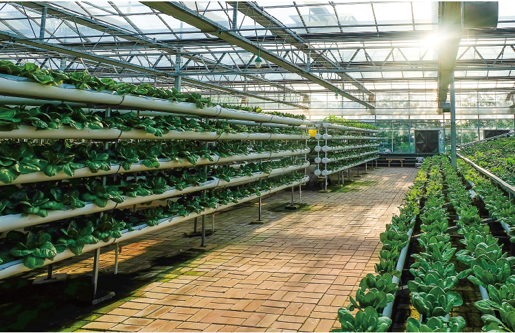 无人设施解决方案