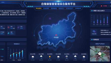 江苏省白兔镇智慧管理综合服务平台