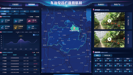 江苏省东海草莓产业物联网平台