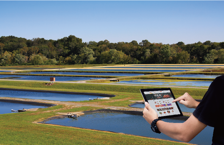 农业电商解决方案