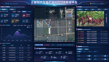 江苏省江都区物联网管理平台