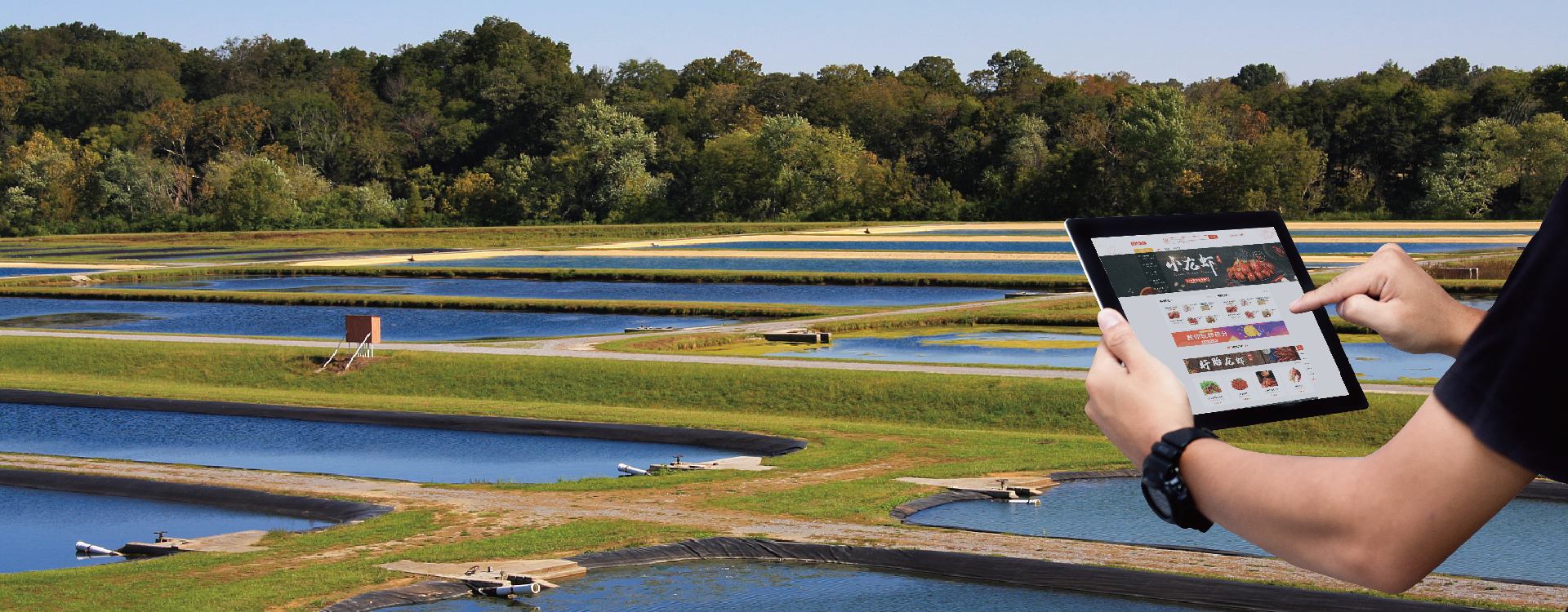 Agricultural e-commerce solution