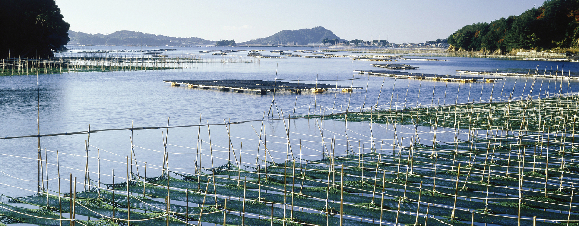 无人水产解决方案