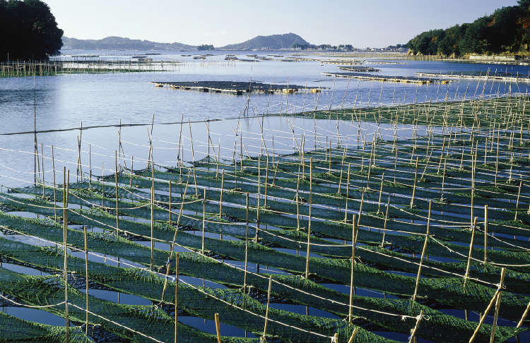 无人水产解决方案