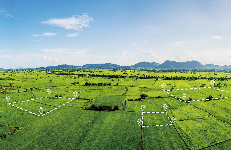 无人大田解决方案