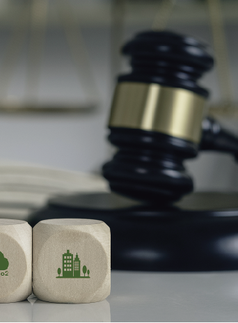 Government regulation of online sales