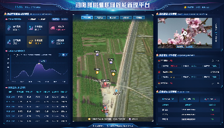江苏省泗阳鲜桃物联网智能管理平台