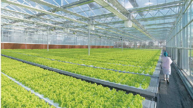 中大型种植企业