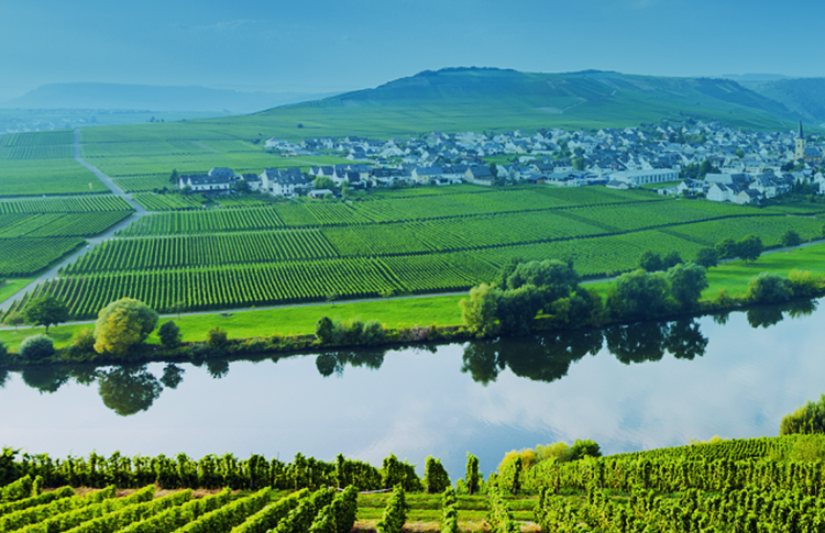 农业产业数字化banner