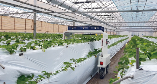 南京傅家边省级现代农业产业园设施