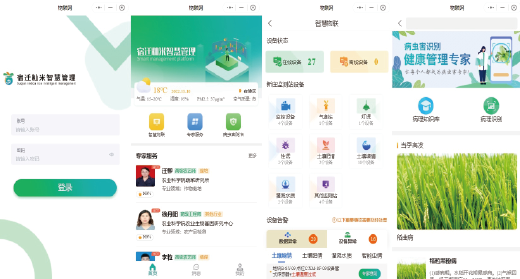 宿迁籼米智慧管理平台