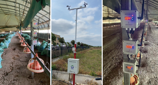 南京市六合浩天智慧养殖物联网平台