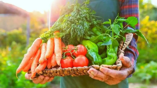 农业全产业链未来如何发展？江苏叁拾叁这样布局