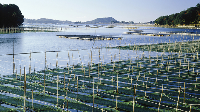 官方发布！推广11个水产新品种，智慧水产又有新挑战！