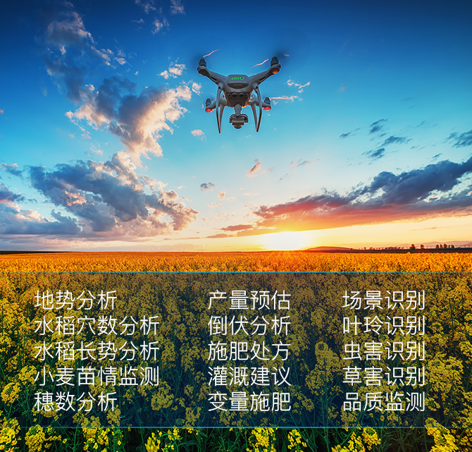 无人机遥感监测决策系统