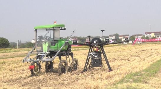 c38ecc819995897c5e0c83552f7edb1b