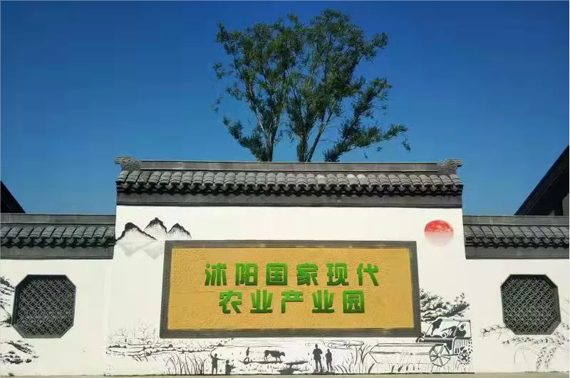 深耕沭阳“美丽经济”，走出“既富又安且美”振兴路！