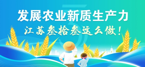 发展新质生产力，江苏叁拾叁这么做！