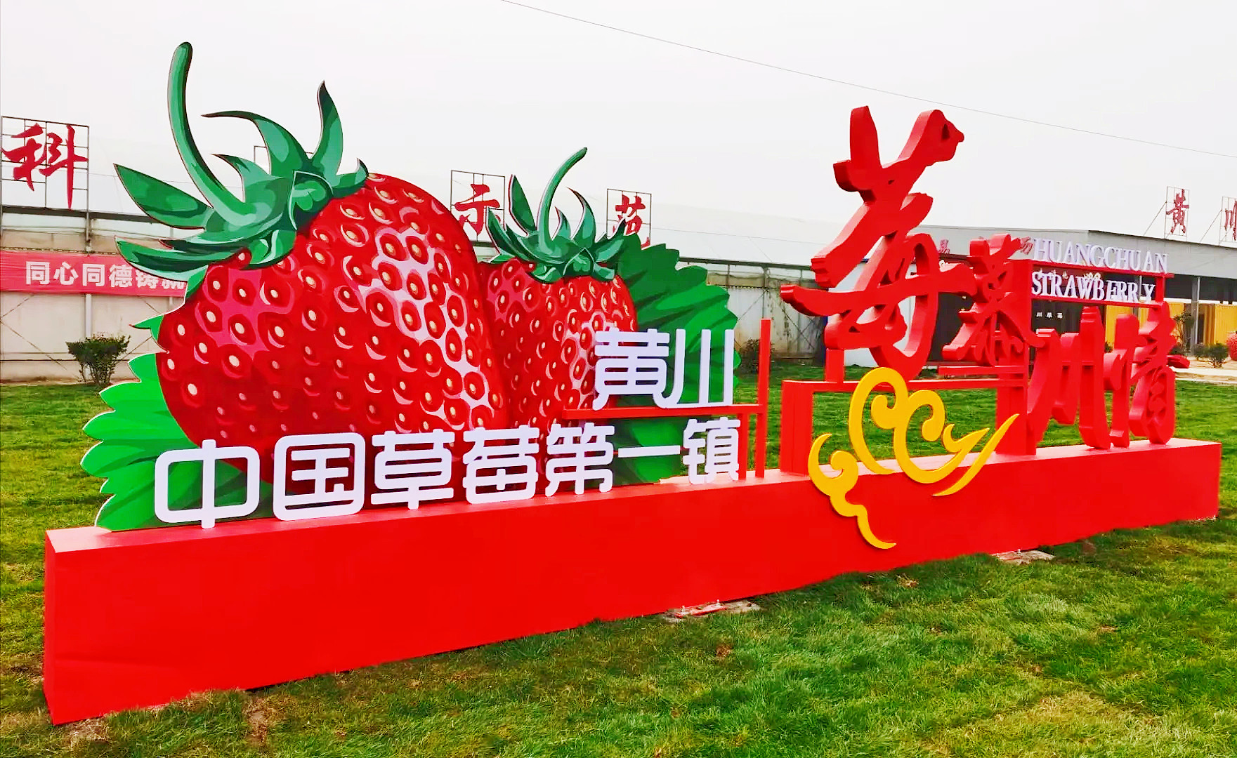 “物联网+农业”智慧布局，筑梦黄川“莓”好未来