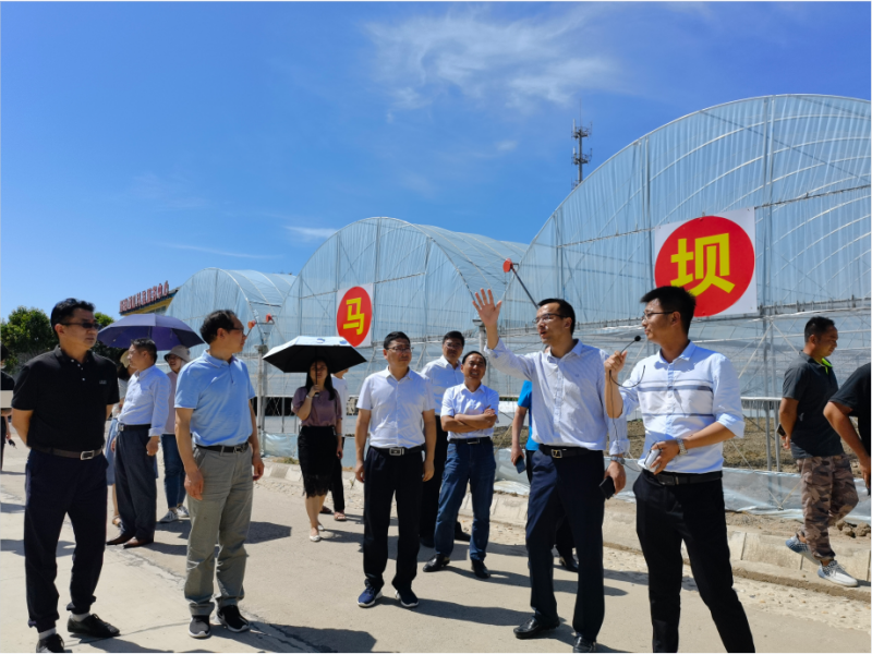 数字惠农 智慧兴村丨江苏叁拾叁助力淮安市乡村振兴农业生产数字化发展水平考核指标现场推进会！