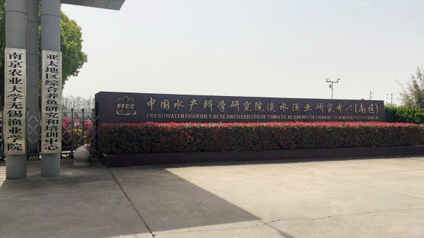 数字赋能渔业发展，江苏叁拾叁助力淡水渔业可持续发展！