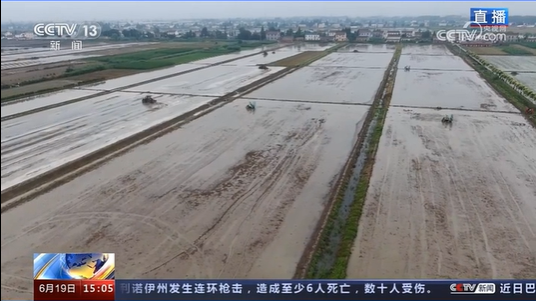 东台南沈灶无人农场合作案例荣登央视， “无人农场”到底魅力何在？