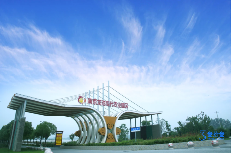 走特色发展道路，创六合农业新样本！