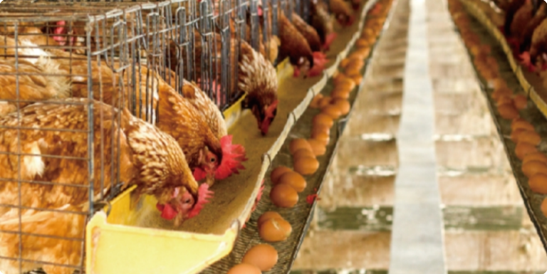 江苏省江宁区农业农村局