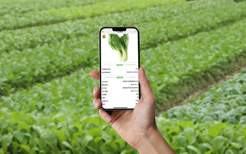 江苏叁拾叁区块链溯源解决方案